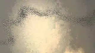 P9300779