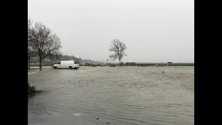ENVIRONMENTAL COLLAPSE, November 2021