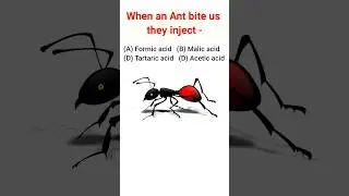 Which acid present in ant sting 🤔 #shorts #science