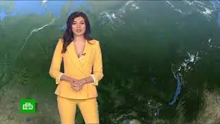 Прогноз погоды и окончание программы Сегодня (НТВ, 07.06.2020)