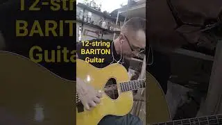 12-str Baritone guitar