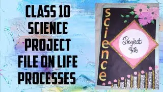 CLASS 10 // CBSE //  SCIENCE PROJECT FILE ON//  LIFE PROCESSES //