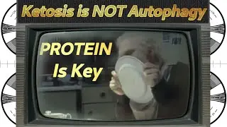 It is lack of PROTEIN that controls autophagy NOT ketosis!