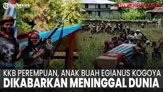 🔴LIVE KKB: Sering Kontak Tembak dengan TNI, KKB Perempuan Anak Buah Egianus Kogoya Meninggal Dunia