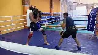Давид Наглец Мирзоян