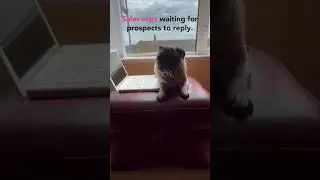 Can be a long long wait... 