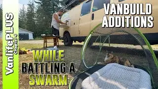 Vanlife - Can't Trust What They Say, Works When It's RIGHT