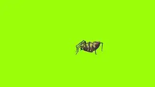 Running spider green screen।cartoon green screen। spider green screen। green screen। ostad animation
