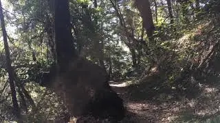 Castle Rock State Park Hiking | VLOG Ep 7