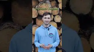 Сколько весит 1 куб березовых дров? 