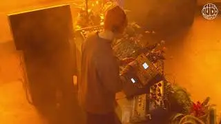 Tro (Live) | The MUDD Show