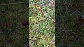 22 сентября 2023 г.