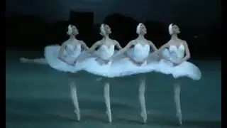 4羽の小さな白鳥達の踊り「白鳥の湖」マリインスキー劇場バレエ　Dance of the Little Swans