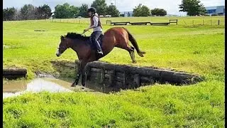 Lila at  Rosedale Cross Country January 20th 2016