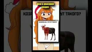 ТикТок мем 