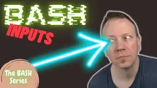 Get Data Into Your BASH Script!