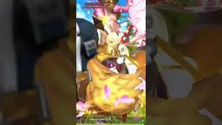 cheater account 
