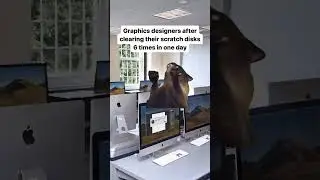Graphic Designers After Clearing Their Scratch Disks Six Times in One Day 