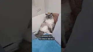 Чуть не развели🙈😂