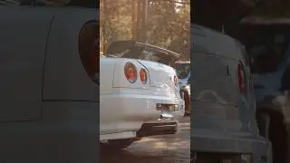 A few shots of 2 white beauties 