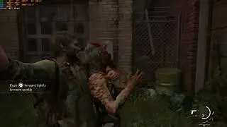 The Last of Us Part 1 | RTX 3070 Vulkan Test (VKD3D)