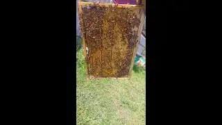 Видео отчет