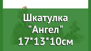 Шкатулка Ангел 17*13*10см обзор 22362 4606030354982 бренд производитель