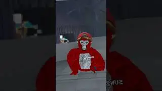 Rate my transitions out of 10! #gtag #gorillatag