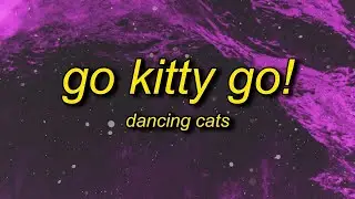 [1 Hour🕐 ] Go Kitty Go! (sped up) Lyrics | go kitty go kitty go kitty ride