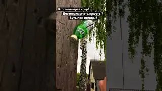 Бутылка погоды
