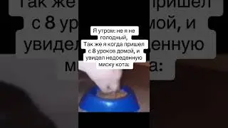 кот