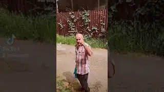 2 июня 2024 г.
