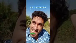 EL CALCETÍN. 