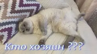 Кто хозяин