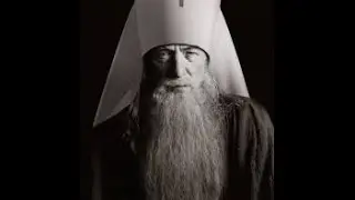 Что нужно делать с попами (