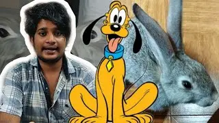 ഞാകൾ  രണ്ടു പട്ടികളെ വാങ്ങി 🐶🐕 POLI SANAM NEW VIDEO