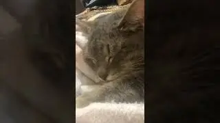 ????