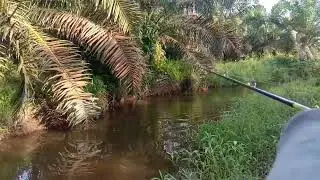 TOMAN NYA SALAH SAMBARAN.