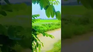 kheti Kisan Song#song #kisan #marathi #agriculture #farmer
