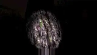 Gaming Fridays 3: Slender with Evan