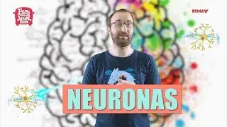 Las neuronas | Neurocosas 18
