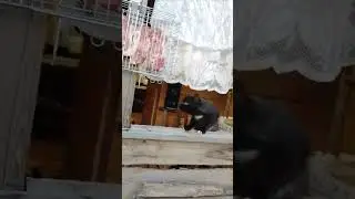 делиться надо / 9 ноября 2023 г.