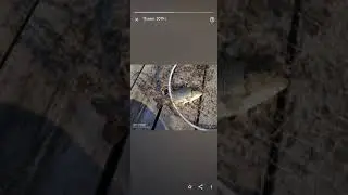 Воспоминания гугла 😄 #shorts