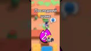 ПОСЛЕДНИЙ ШАНС!