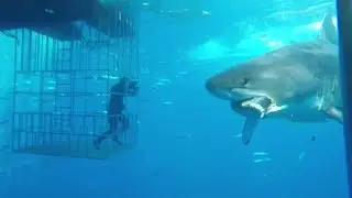 Через Секунду их Не Станет! Случаи 1 на Миллион Снятые на Камеру