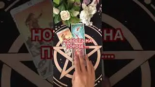 #таро #будушее #+393929906674#tarot #судьба #гадание #мужчина #таромания #новость#любовь #мчд #