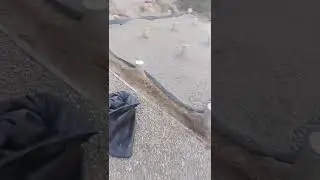 Щебень под "Дачей мечты"!