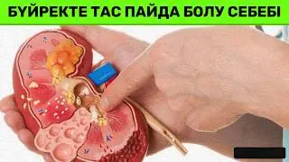 Бүйректе тас пайда болуының жеті себебі