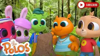 Ants | Adventure Learning | MarcoPolo World School | Learn At Home