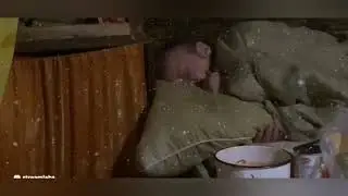 😴Сладкий сон Эдика Моранди и пробуждение с бодуна🍷
